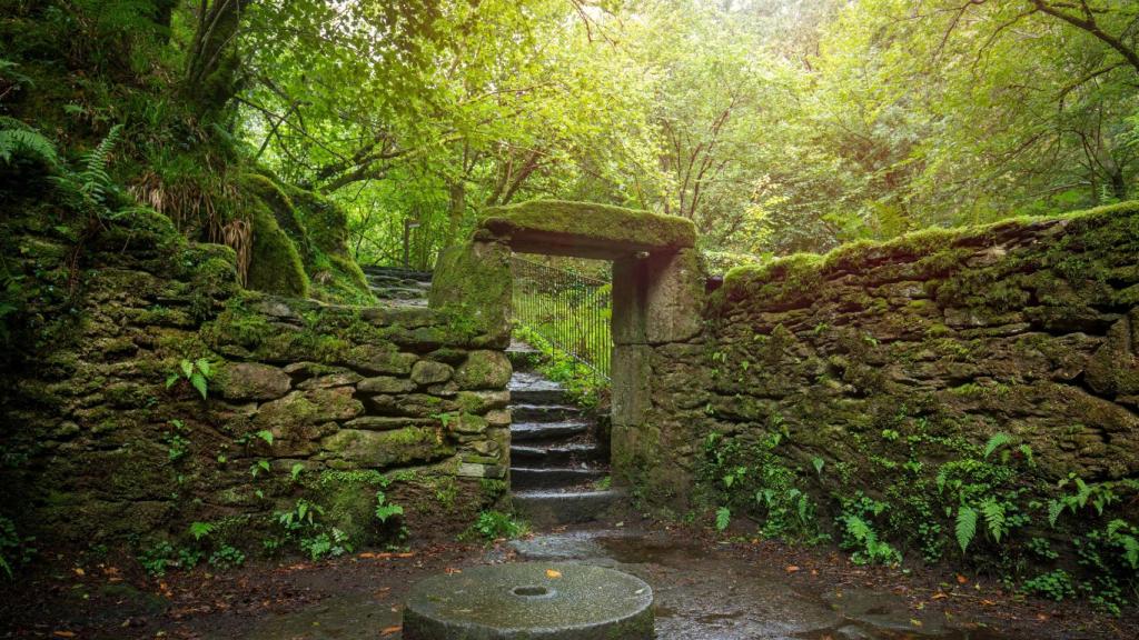 Restos del antiguo molino de Sesin en el parque natural de Fragas do Eume