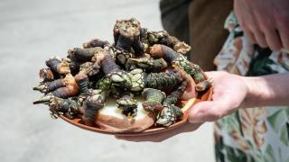 Si te gustan los percebes, tienes que ir a este pueblo de Galicia este sábado