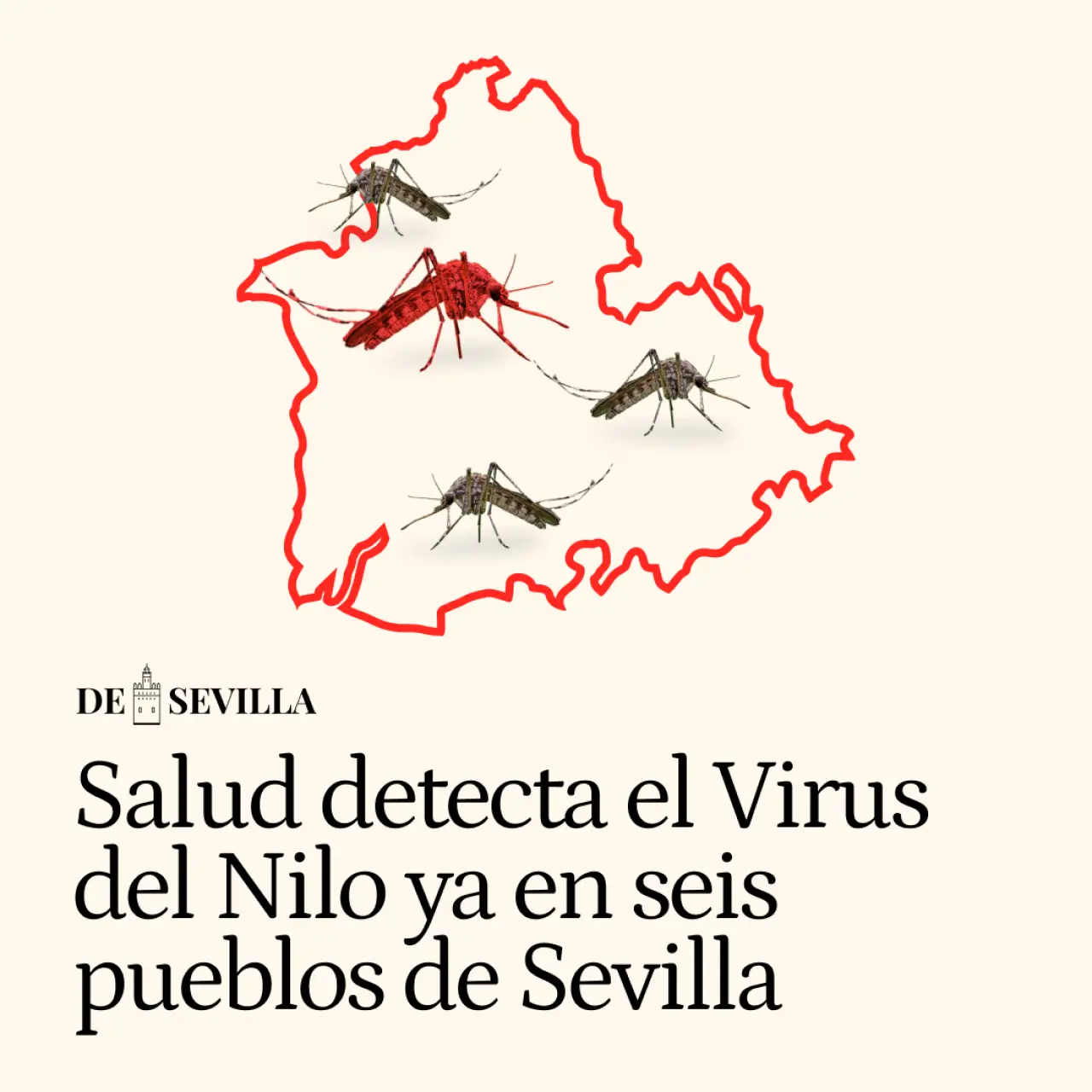 Salud detecta el Virus del Nilo ya en seis pueblos de Sevilla: aquí se localizan y así son los síntomas