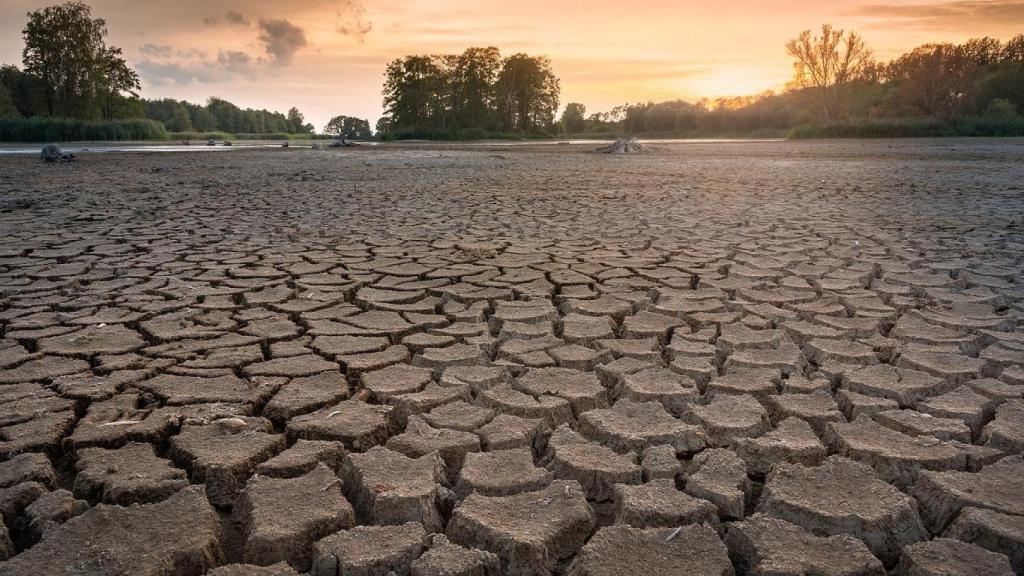 España enfrenta una crisis hídrica severa, siendo el país europeo con mayor estrés hídrico y con un 75 % de su territorio en riesgo de desertificación.