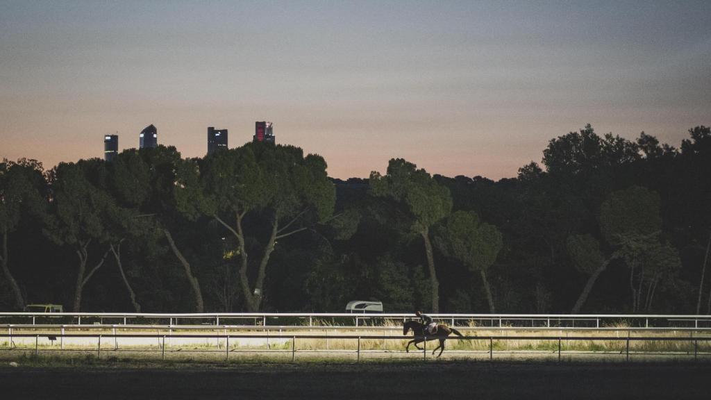 Un caballo en un entrenamiento a primera hora de la mañana.