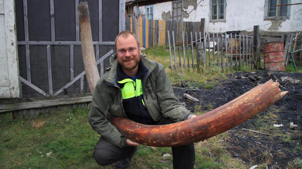 Love Dalén, con un colmillo de mamut.