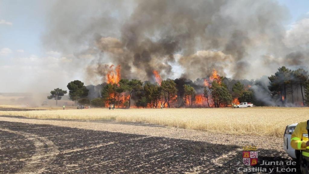 Imagen del incendio en Los Rábanos