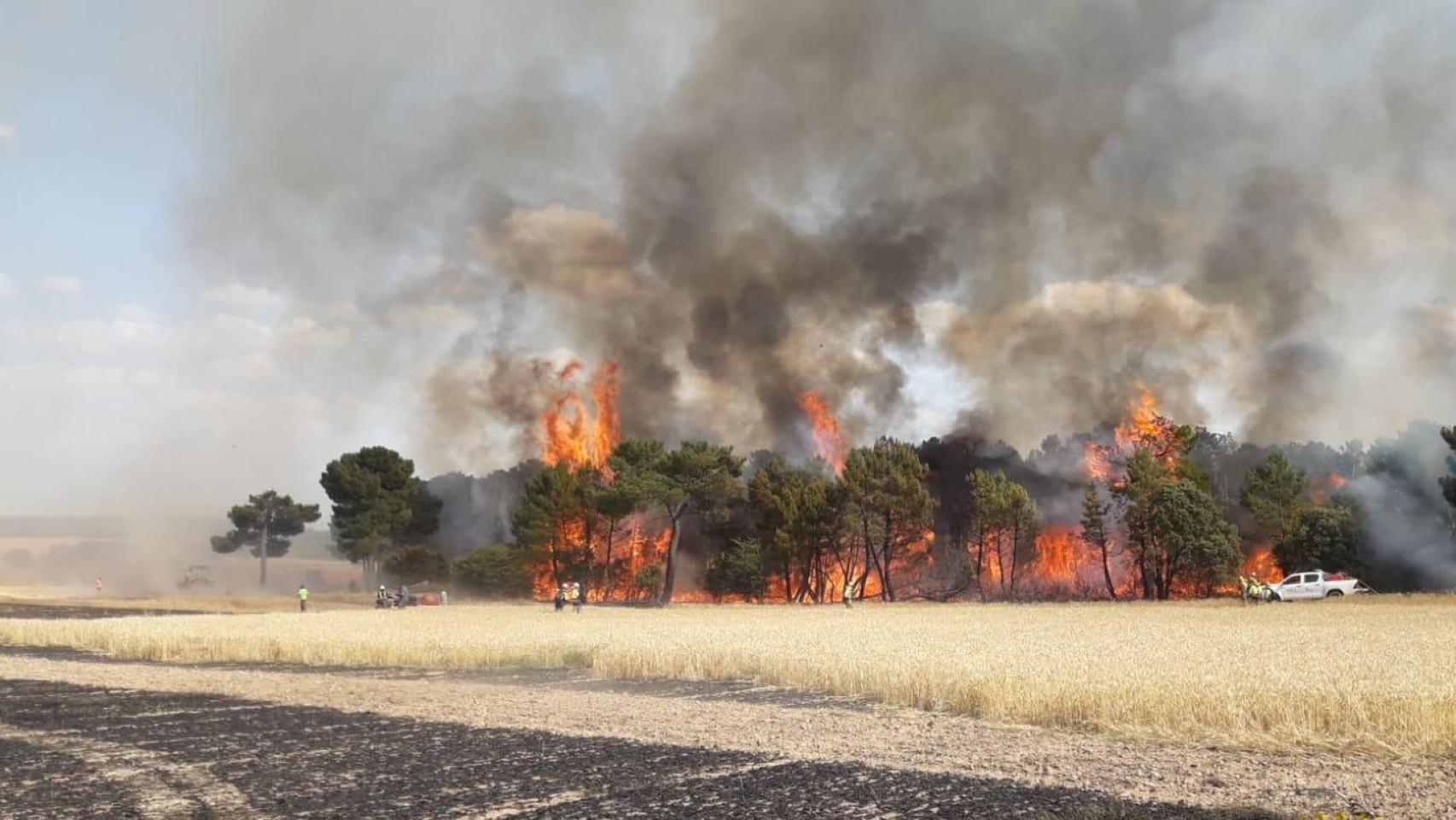 Imagen del incendio en Los Rábanos