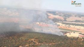 Incendio forestal en Villarejo de Montalbán (Toledo).