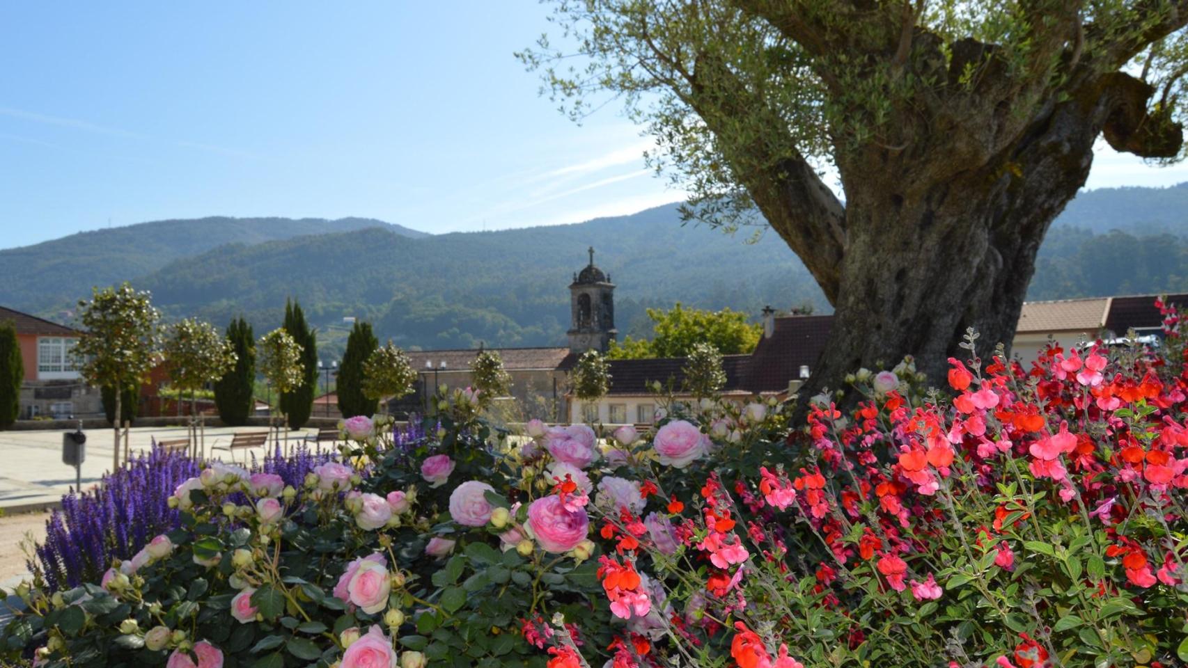 Ornamentos florales en Mos, Pontevedra.