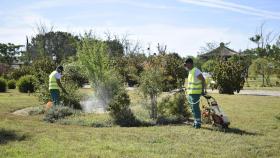 Operarios fumigan una zona verde.