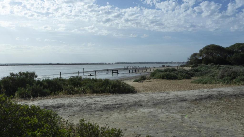 Desembocadura del río Guadalquivir en Doñana.