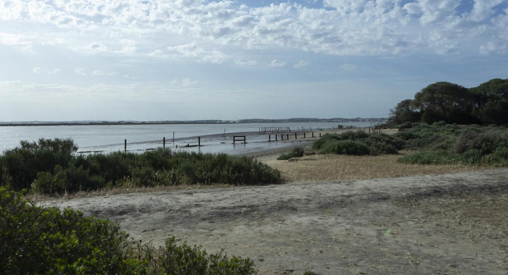 Desembocadura del río Guadalquivir en Doñana.