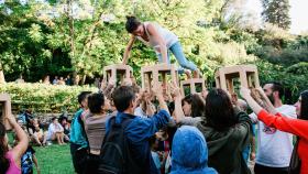 'La piedra de madera' se podrá ver el miércoles en el festival Fresca! de Alicante.