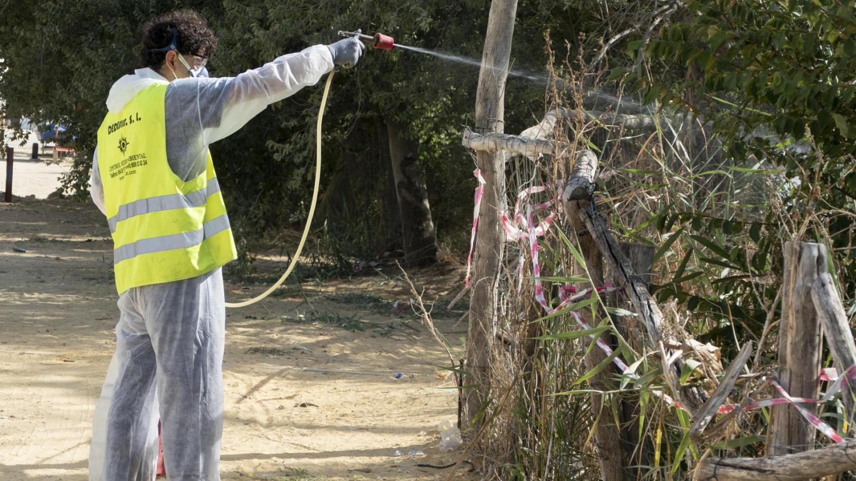 Un operario realiza labores de fumigación en una zona cercana al río Guadalquivir.