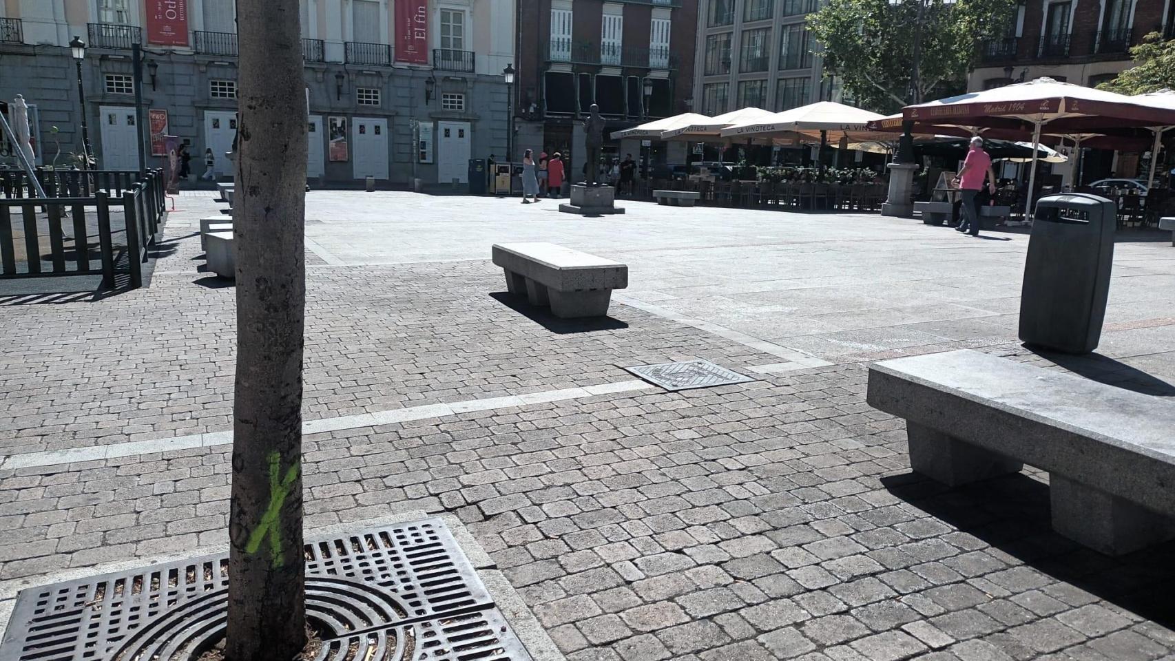 Árboles señalizados para talar en la Plaza de Santa Ana de la capital.