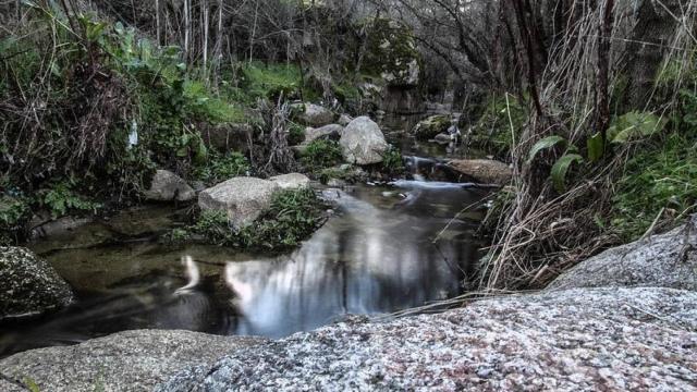 Arroyo de Trofas.