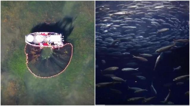 Imágenes de los trabajos del Aquarium Finisterrae de A Coruña