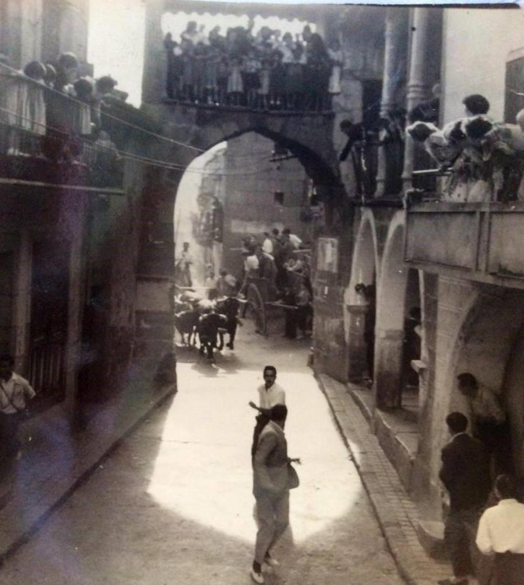 Tradicional encierro en Fermoselle