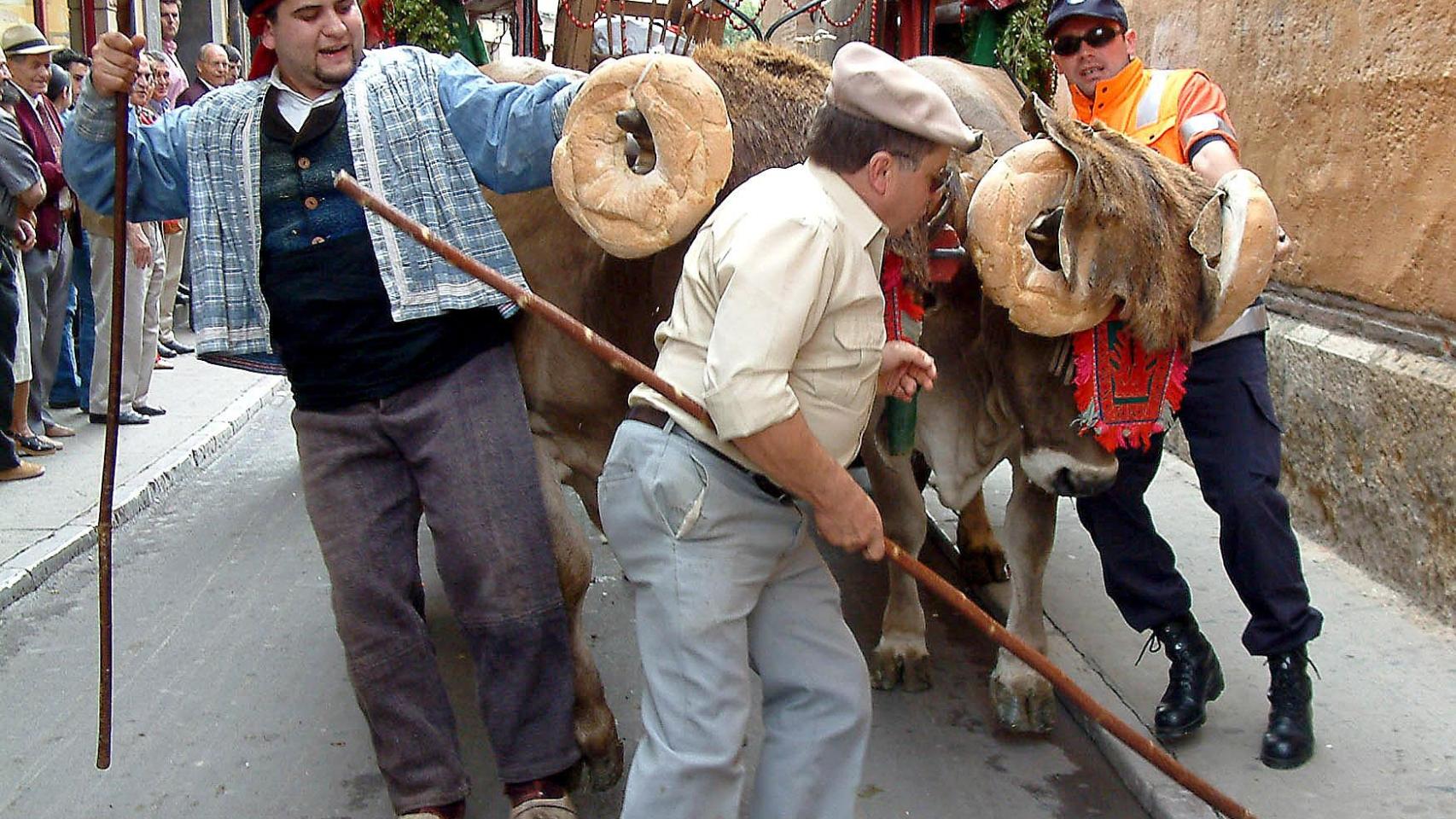Imagen de archivo del tradicional concurso de carros engalanados de León