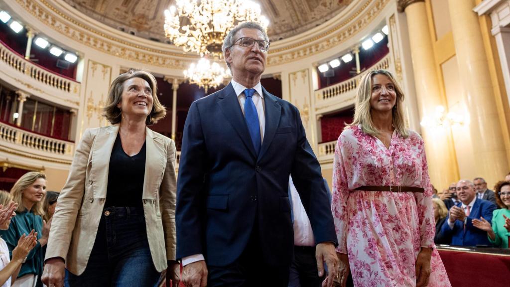 El presidente del PP, Alberto Núñez Feijóo, este miércoles en el Senado.