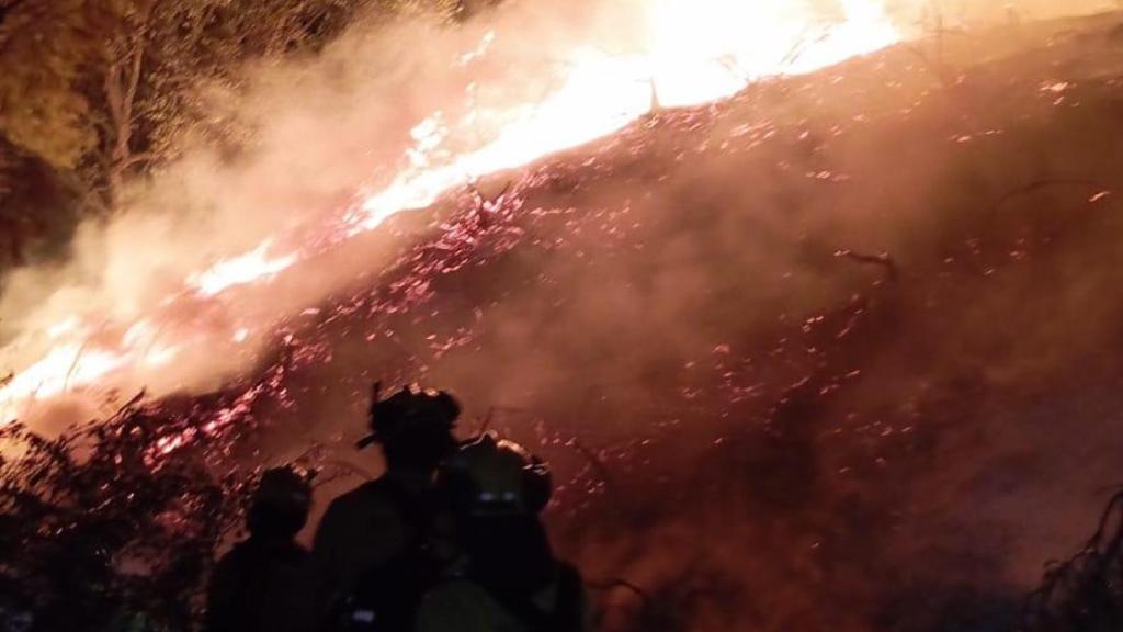 Un bombero del Plan INFOCA junto a las llamas del incendio de Casares.