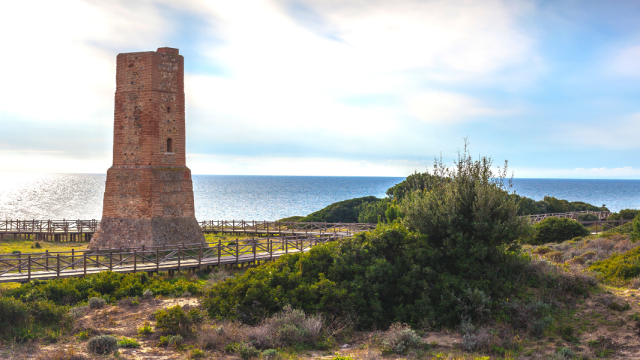 Playa Dunas de Artola.