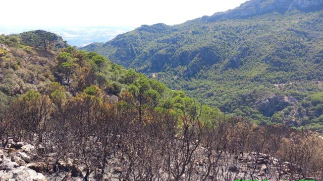 El paraje afectado por el incendio forestal de Casares.