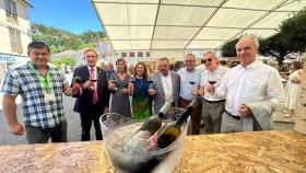 As Neves (Pontevedra) rinde homenaje al vino tinto Rías Baixas