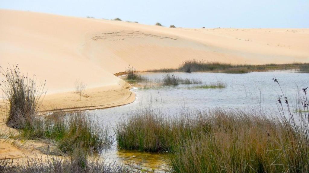 Lagunas de Carregan e Vixían en el complejo dunar de Corrubedo