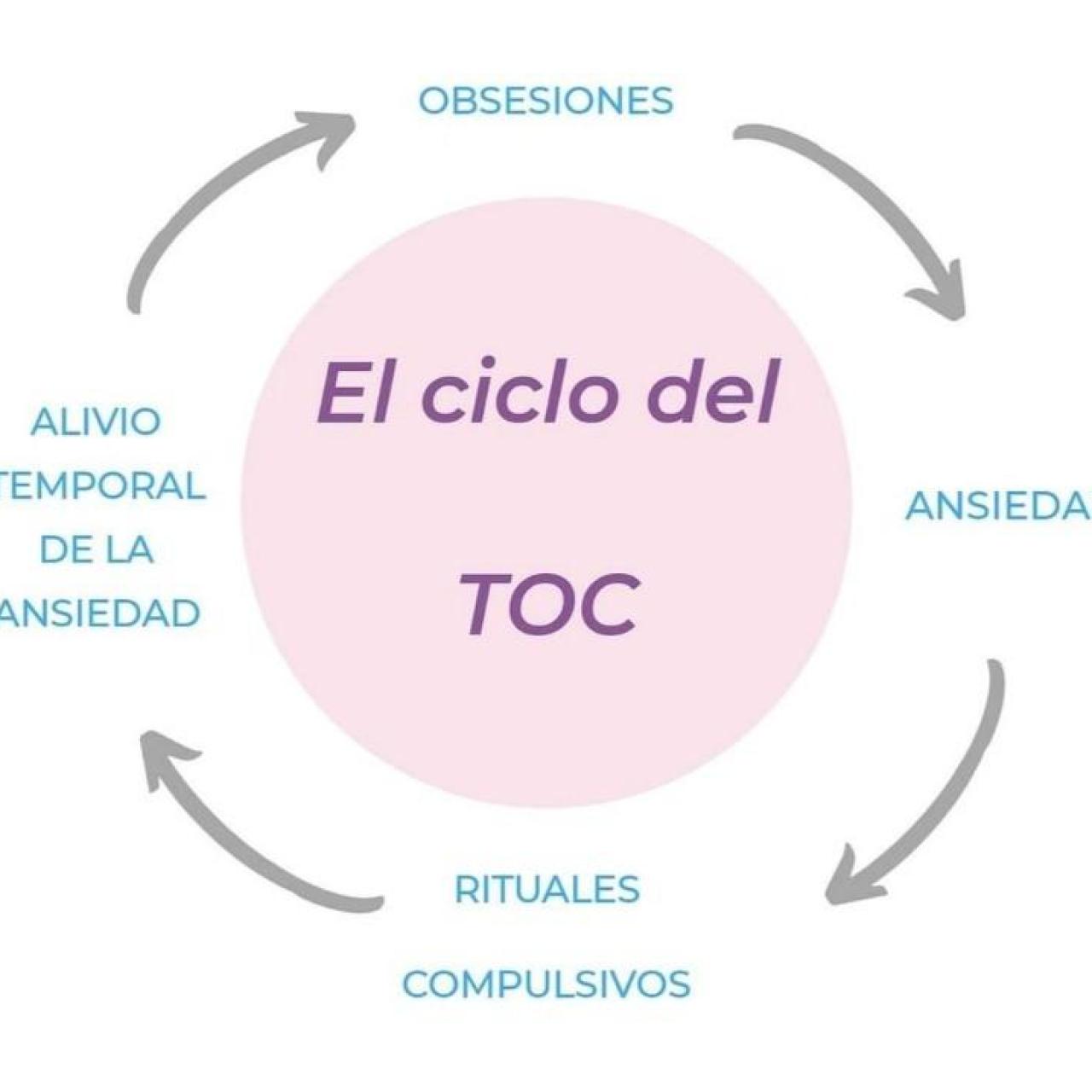 Imagen explicativa del ciclo del TOC.