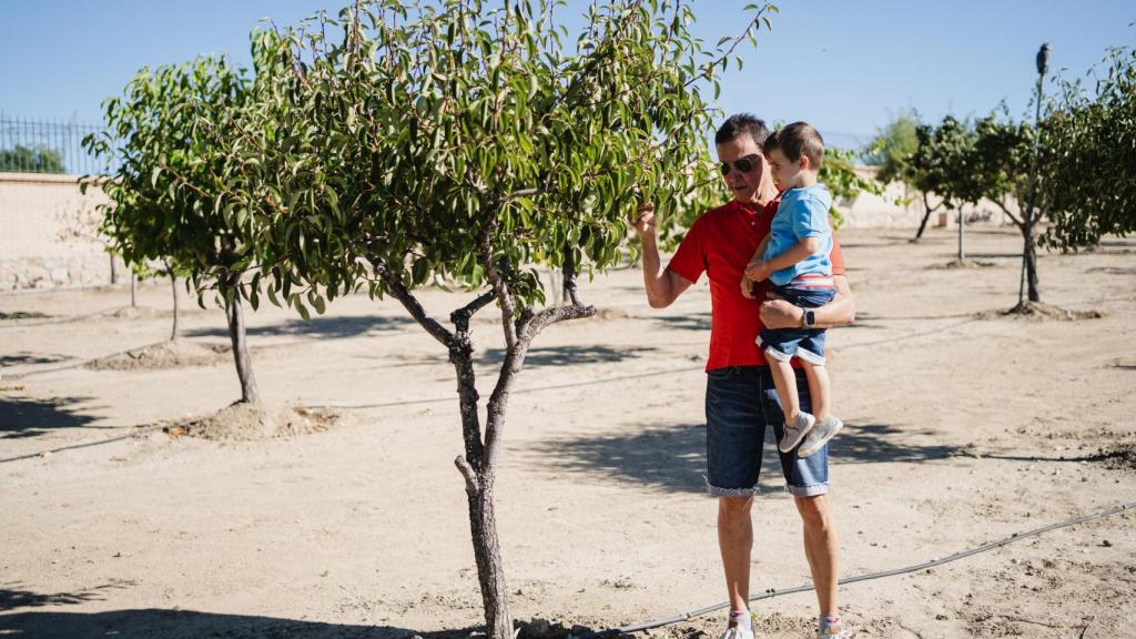 José Ramón de la Morena enseña un limonero a su hijo.