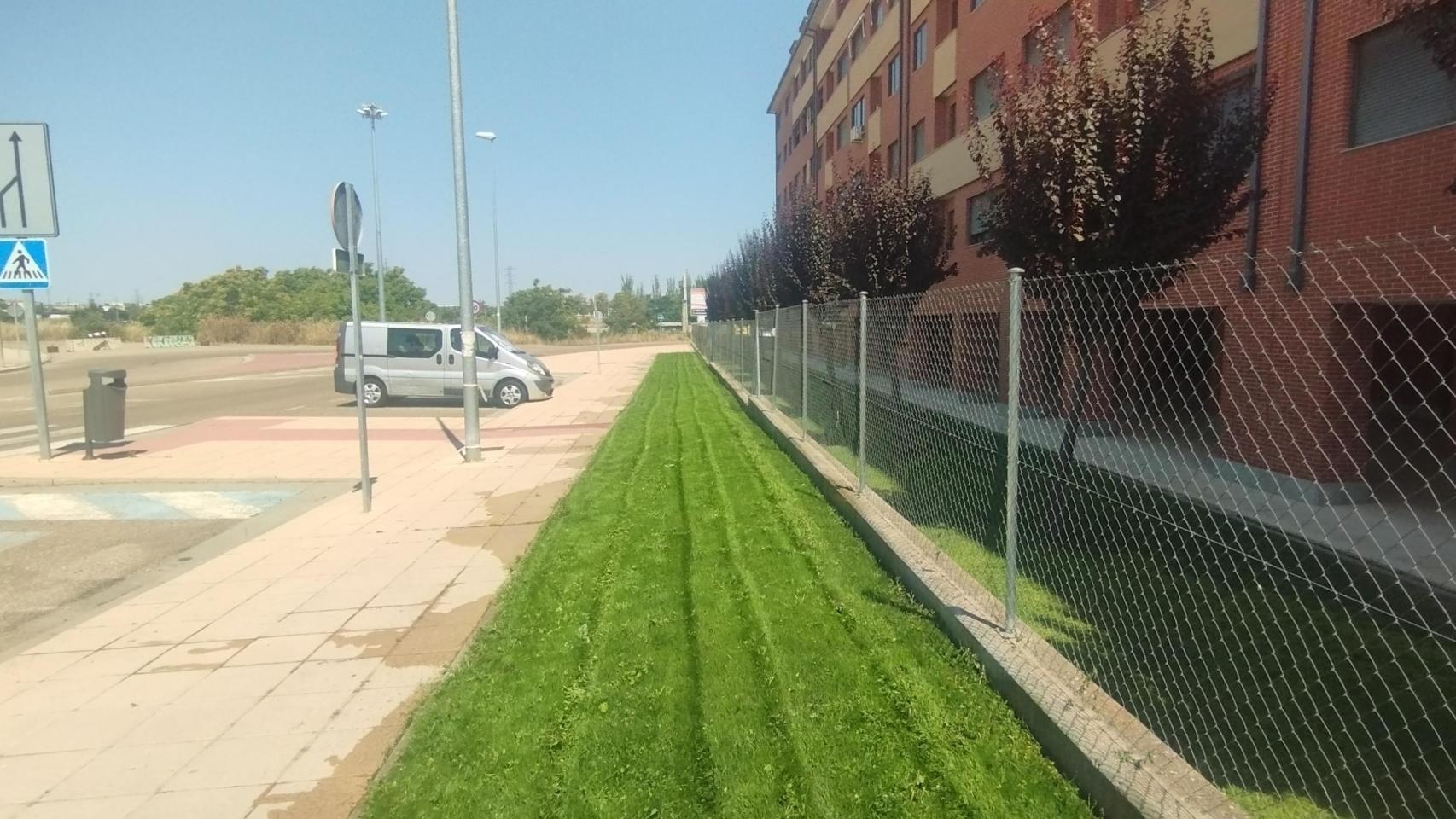El nuevo espacio verde situado en el barrio de Vista Alegre