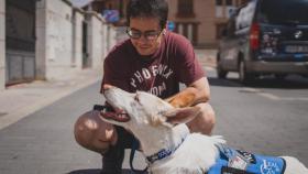 Vídeo | Álex sobre su perro de asistencia psiquiátrica: “Cuando él viene, yo ya estoy más tranquilo”