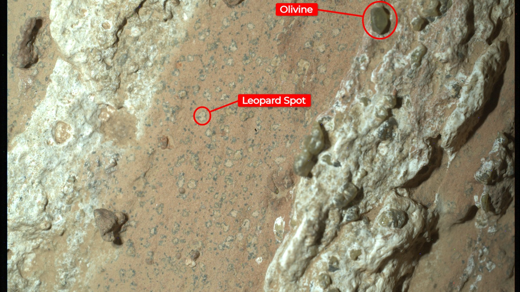 Las 'manchas de leopardo' y la olivina que han interesado a la NASA. JPL-Caltech/ASU/MSSS