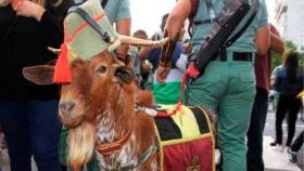 El chivo Pacoli, en el desfile del pasado 12 de Octubre, con la Legión en Madrid.