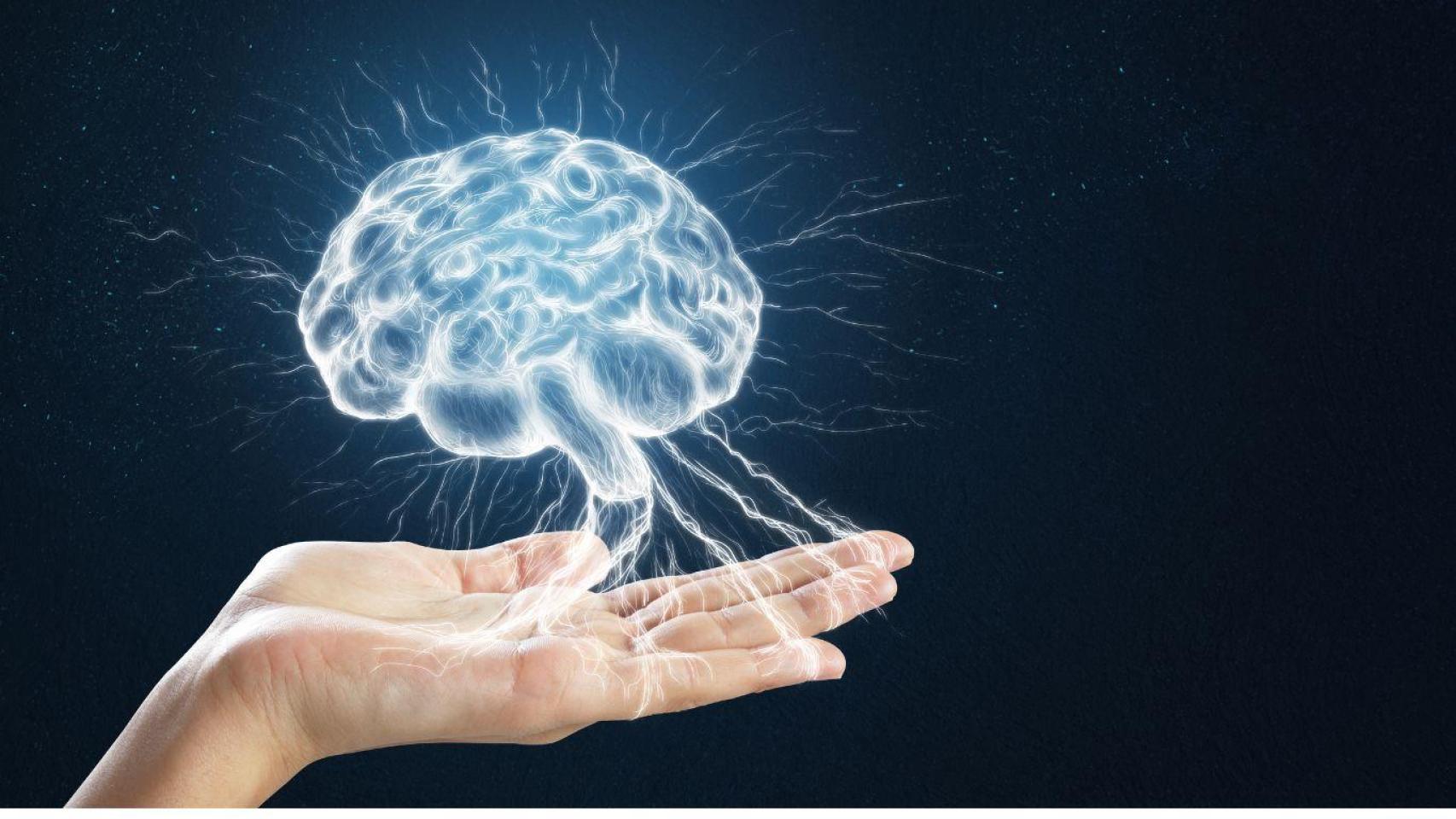 Ilustración de un cerebro sobre la mano.