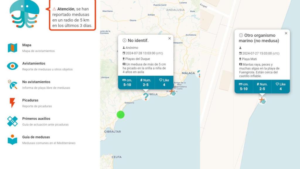 Medusapp, la app española para localizar medusas en la playa