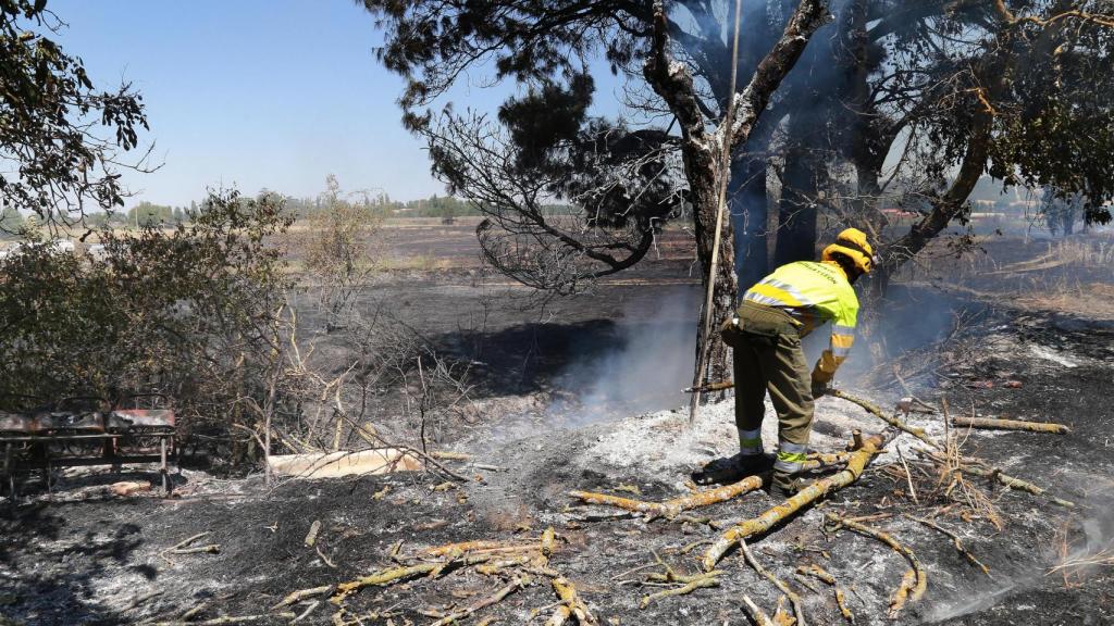 Bomberos apagan el fuego en una tierra de cultivo en Palencia, entre el Camino San Román y la N-610,