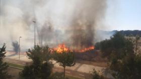 Fuego en el Pinar de Jalón