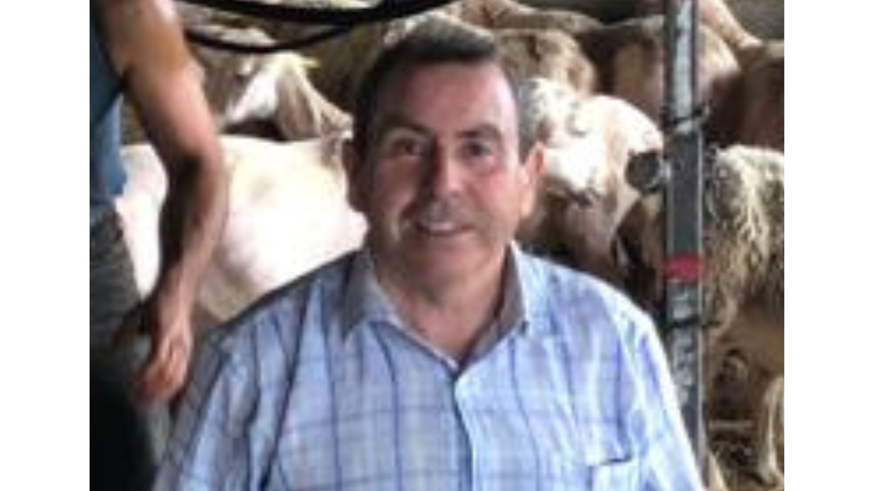 Jesús Burillo