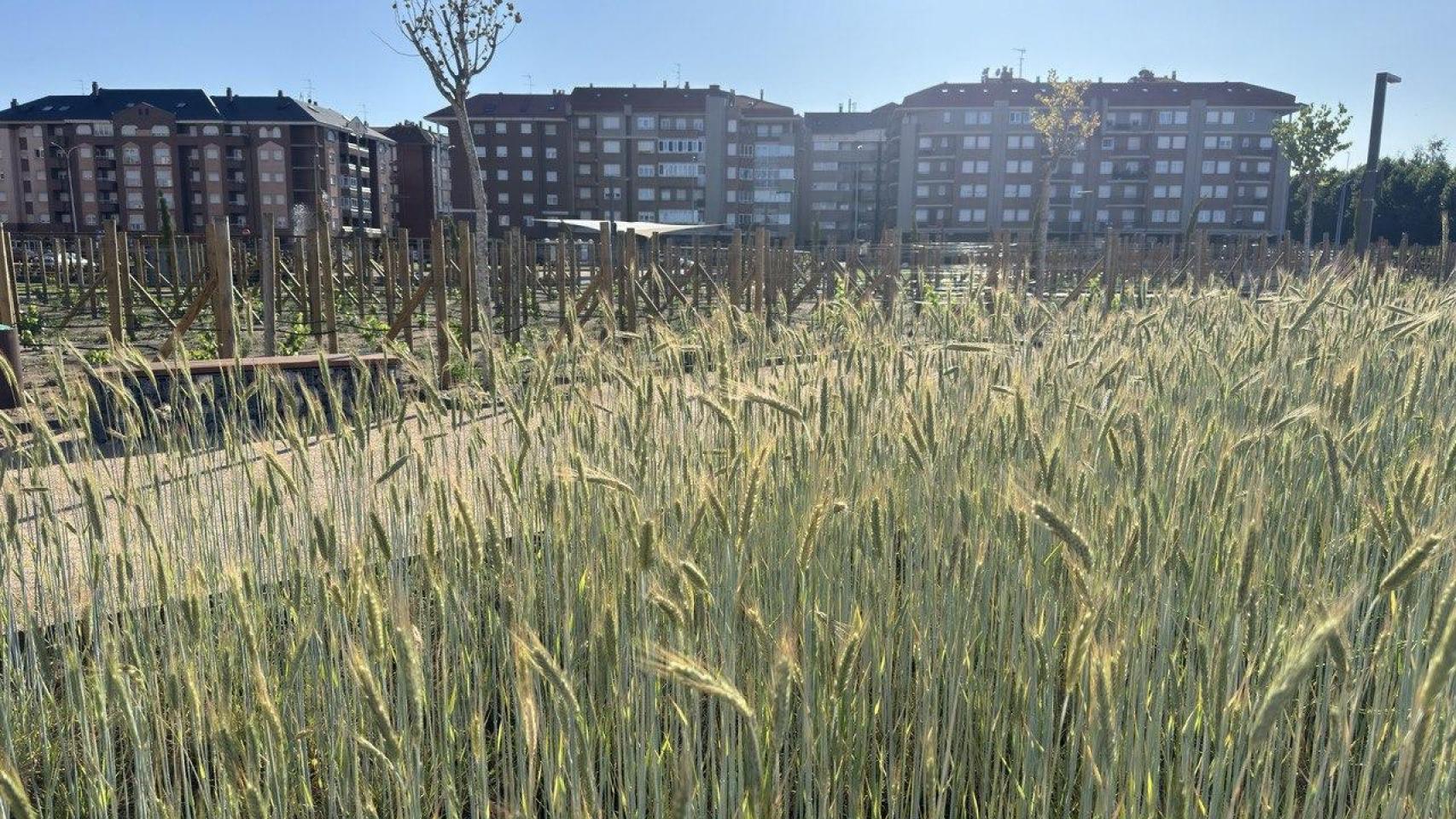 Parque de las Tierras Leonesas