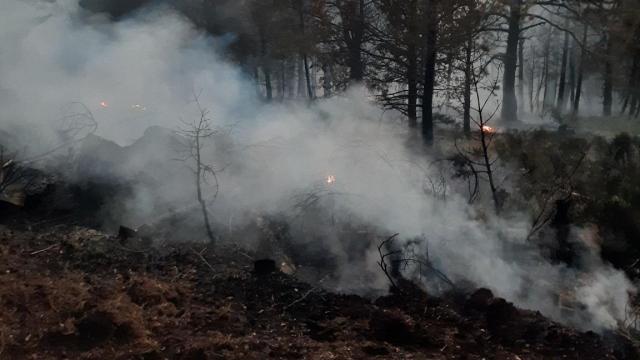 Incendio forestal en El Espinar