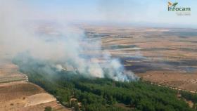 Incendio forestal declarado en Fuensalida (Toledo).
