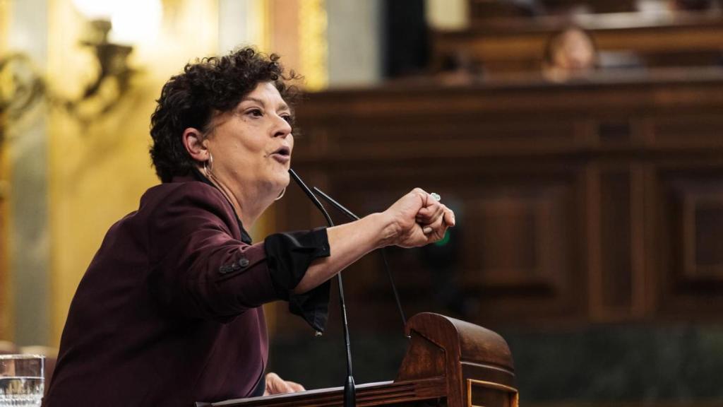 Pilar Vallugera en el Congreso de los Diputados.