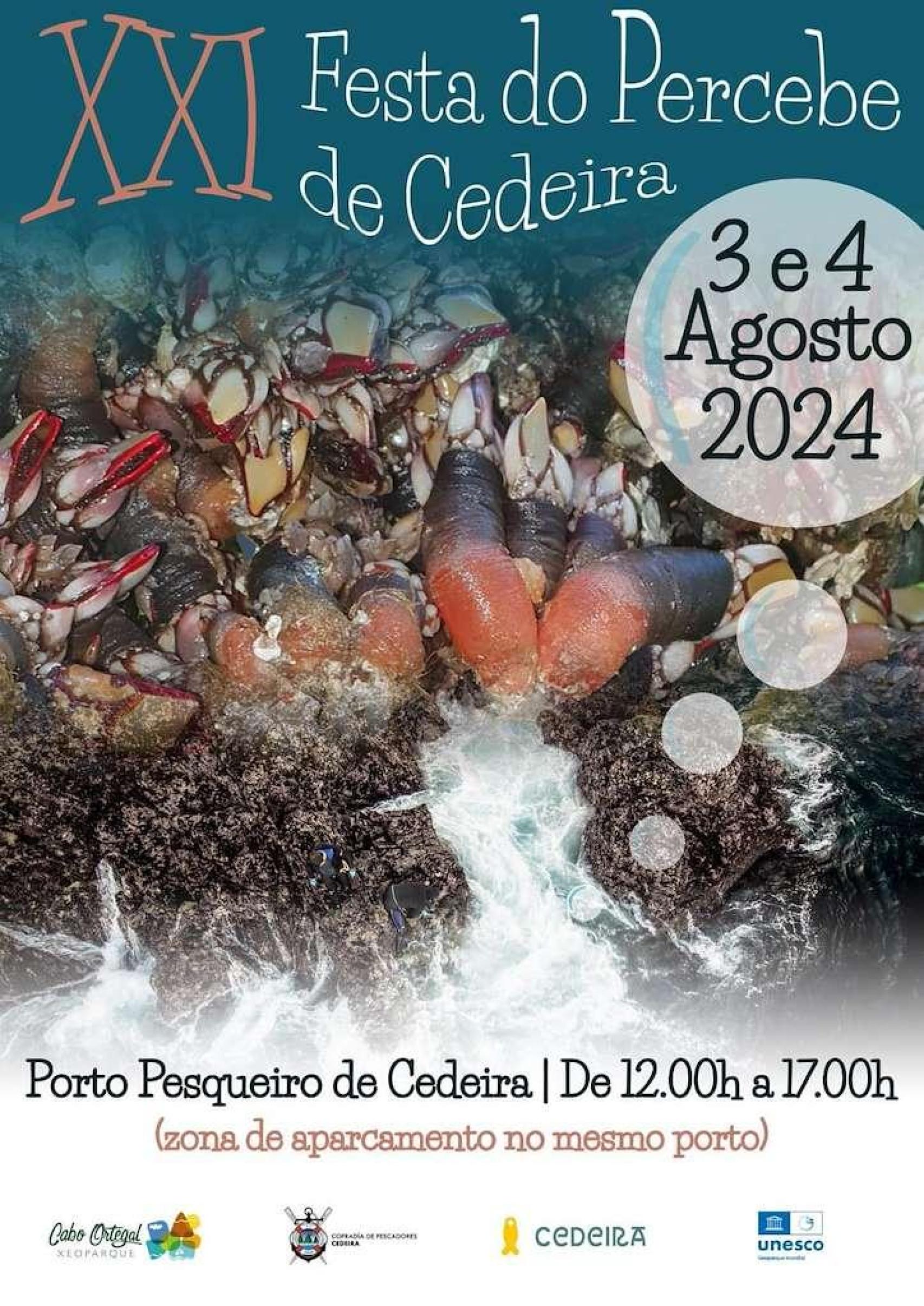 Cartel de la Festa do Percebe de Cedeira 2024