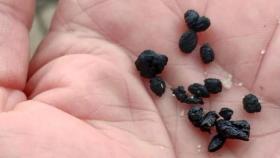 Bolas de chapapote encontradas en playas de Lugo.