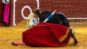 EL novillero de Javier Zulueta da un derechazo de rodillas en la plaza de toros de La Merced.