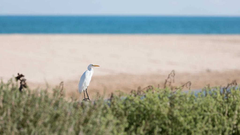 La playa de Xéraco, en la provincia de Valencia