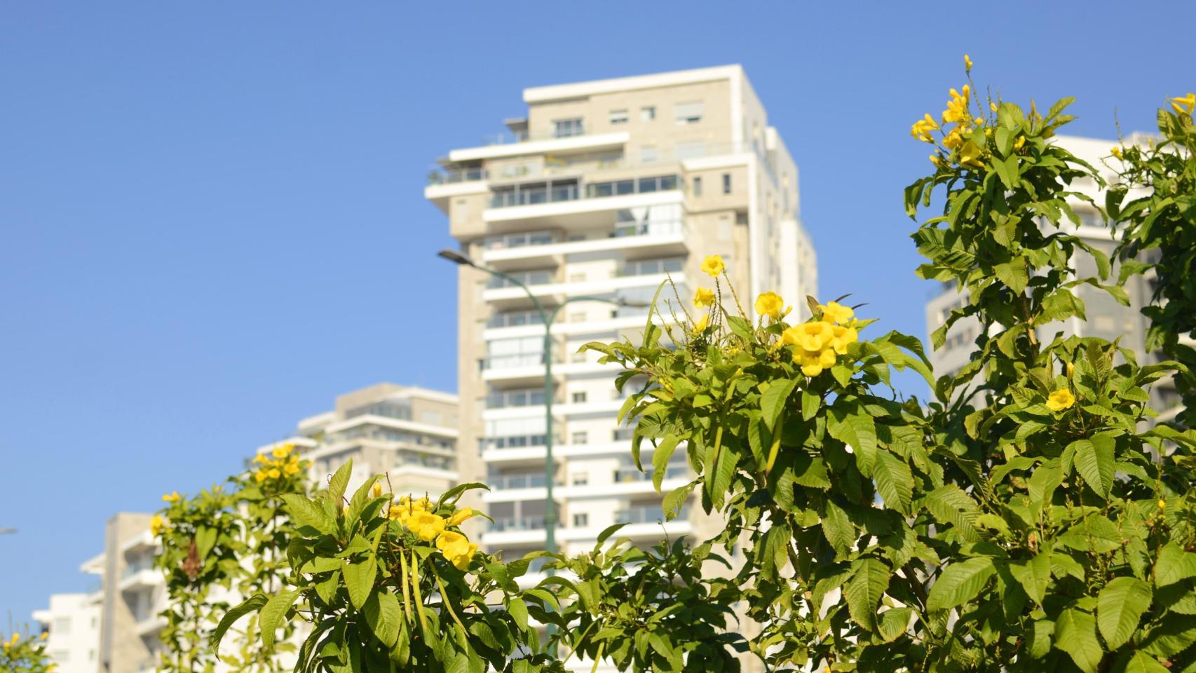 Un bloque de edificios.