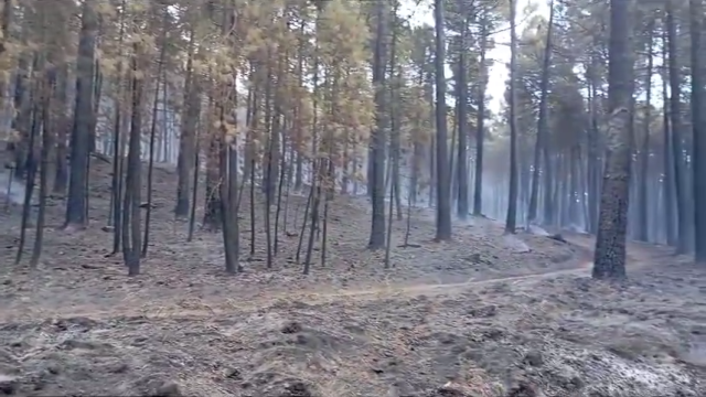 Incendio de El Hornillo