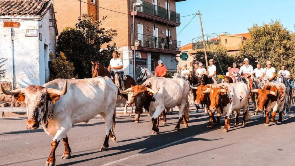 La Fiesta de la Trashumancia de Manzanares el Real.