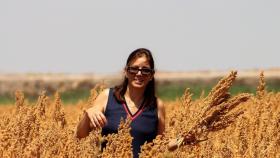 Vilariño, en una de sus plantaciones de quinoa en España.