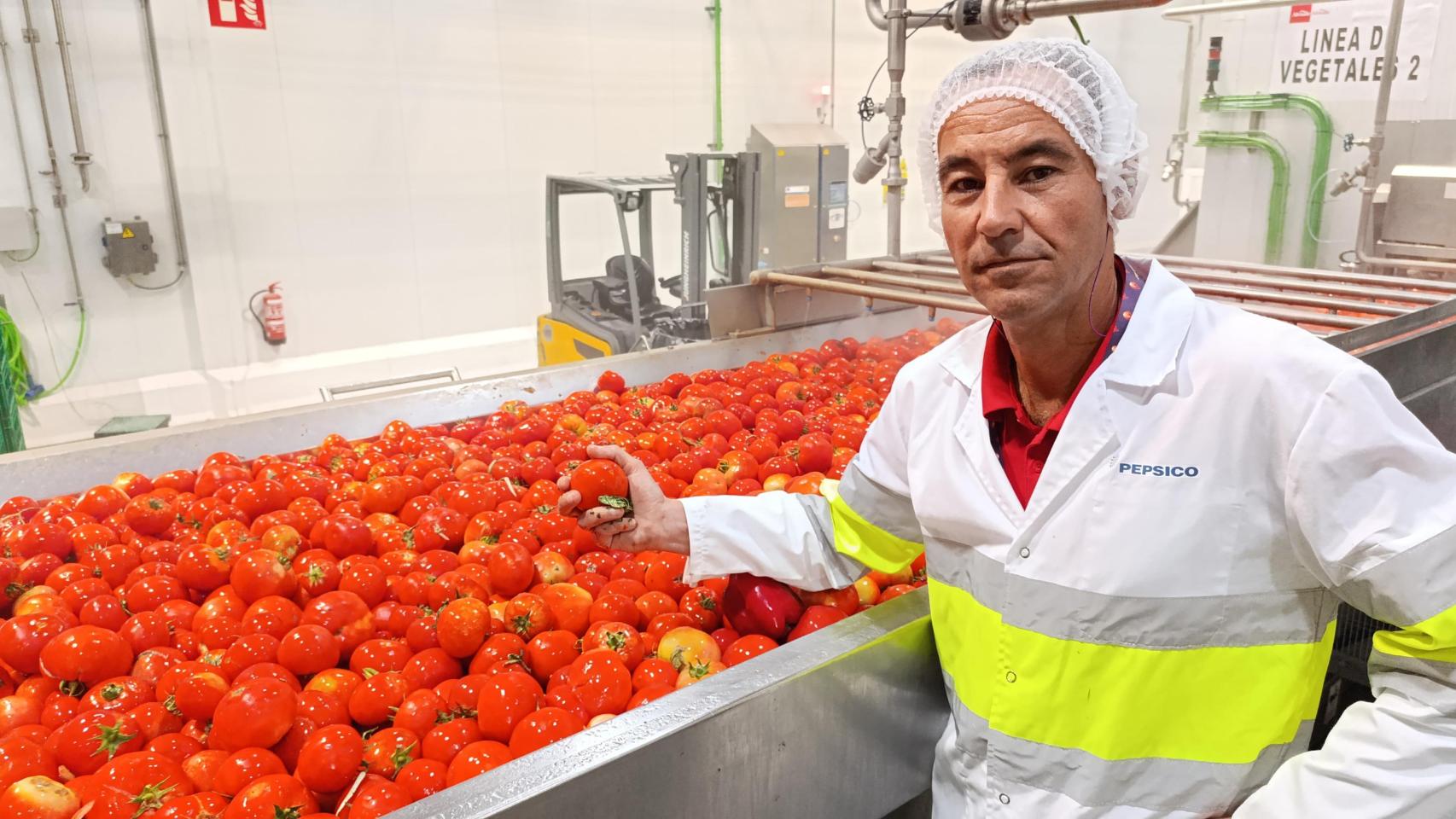 Gustavo Ramírez, director de la planta de Alvalle en la Región de Murcia, muestra uno de los tomates que emplean para producir sus gazpachos.